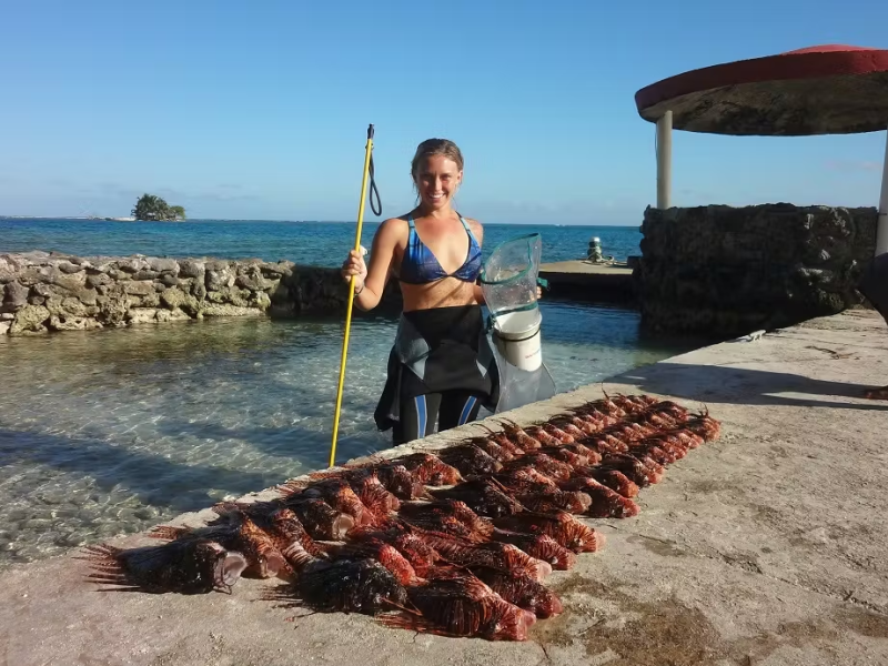 IVHQ Volunteer Spearing Invasive Species in Belize