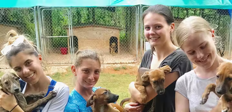 IVHQ Volunteers Playing with Shelter Dogs