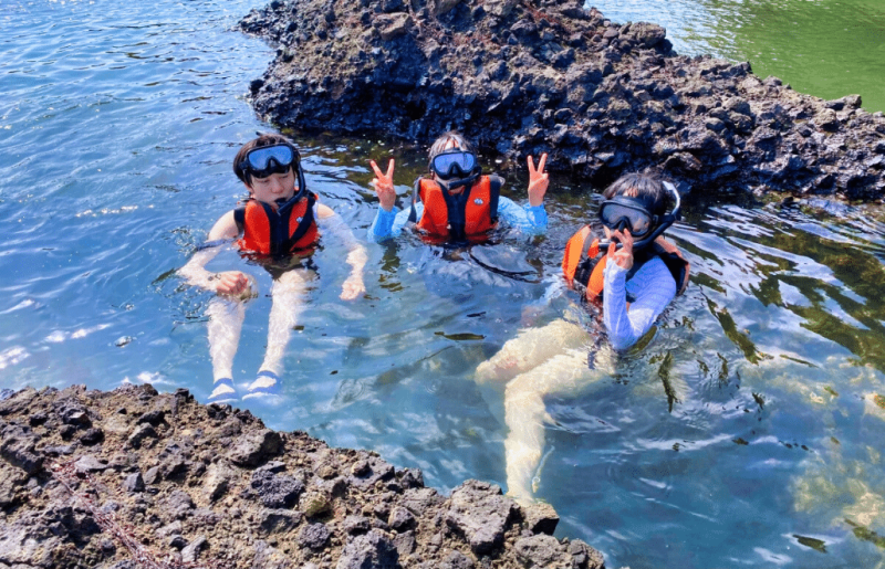 Japan – Family-Friendly Wildlife Conservation & Cultural Immersion