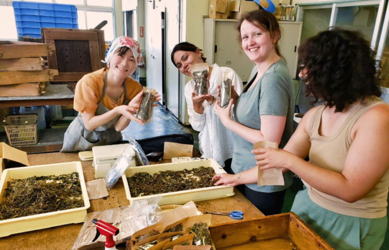 Japan – Family-Friendly Wildlife Conservation & Cultural Immersion