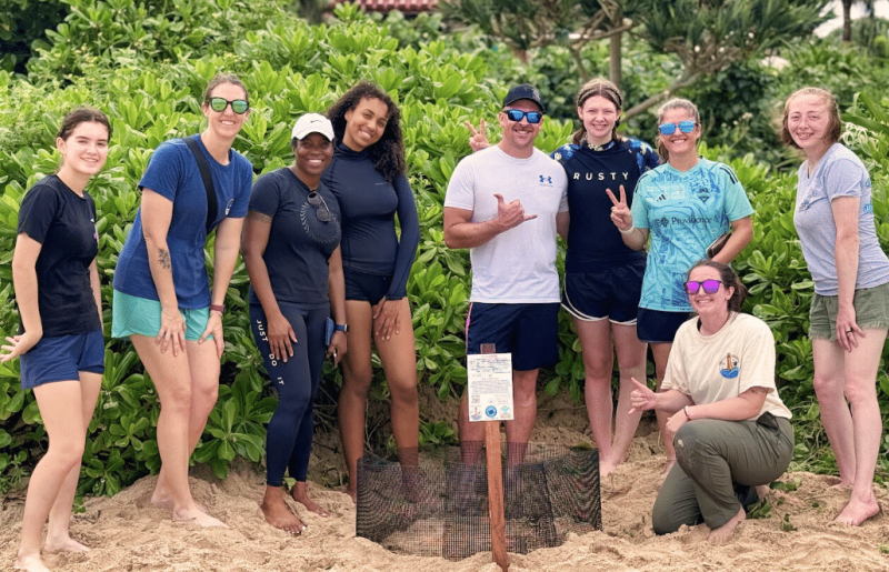 Japan – Sea Turtle Conservation Volunteering in Okinawa