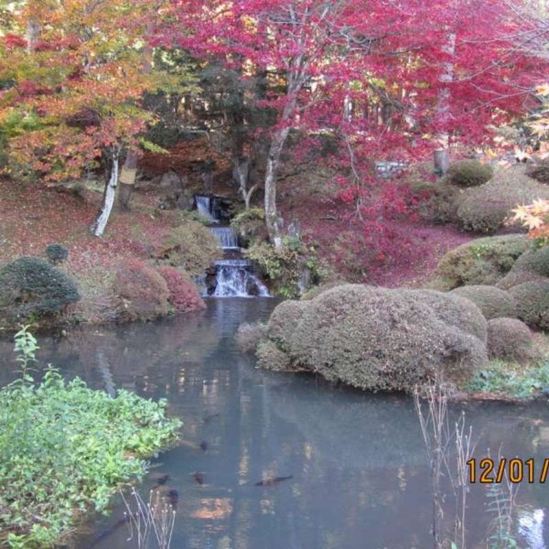High School Abroad in Japan with Greenheart Travel — photo 2