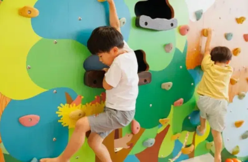 Japan – Volunteer for Alternative Teaching in Kyoto