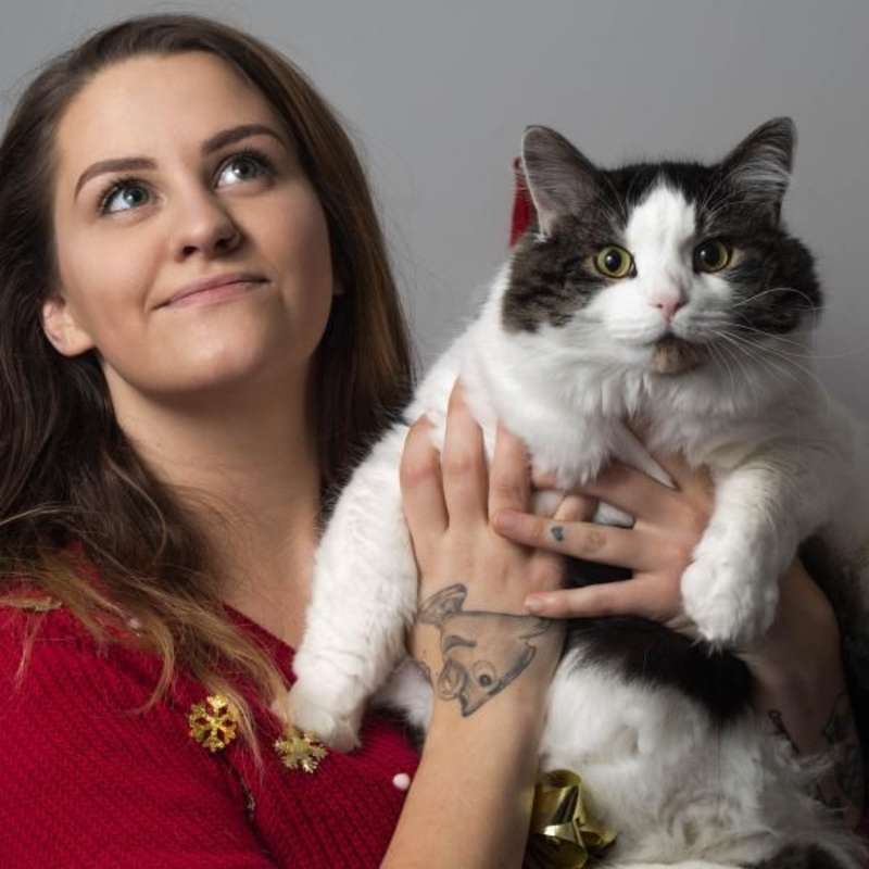 Animal Care Internship