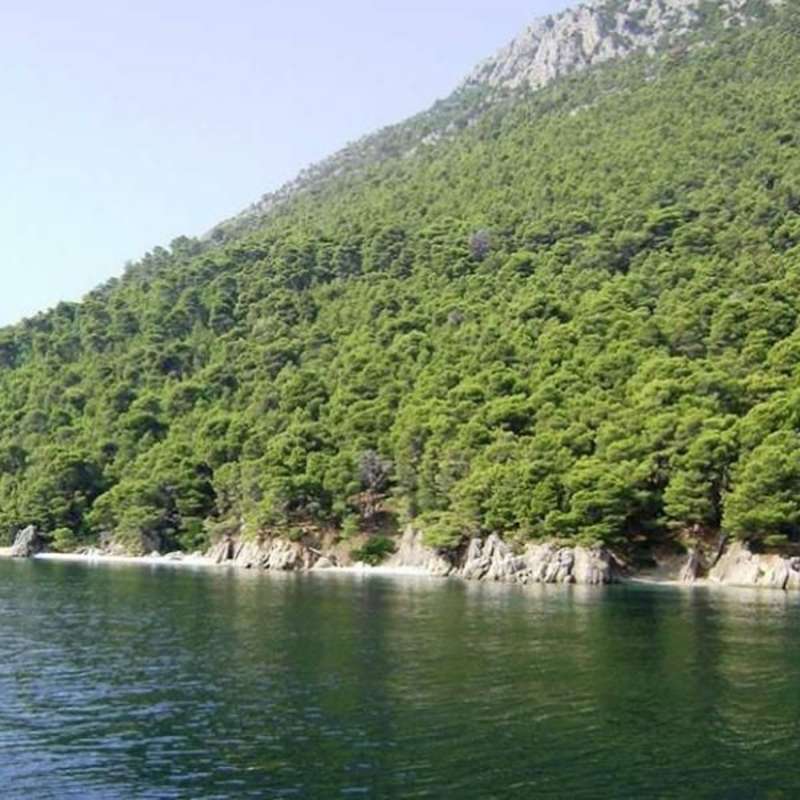 volunteer in greece