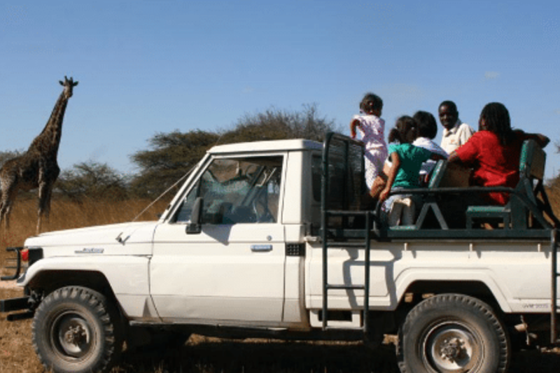 Safari vehicles in Victoria Falls Lion Rehabilitation in Zimbabwe