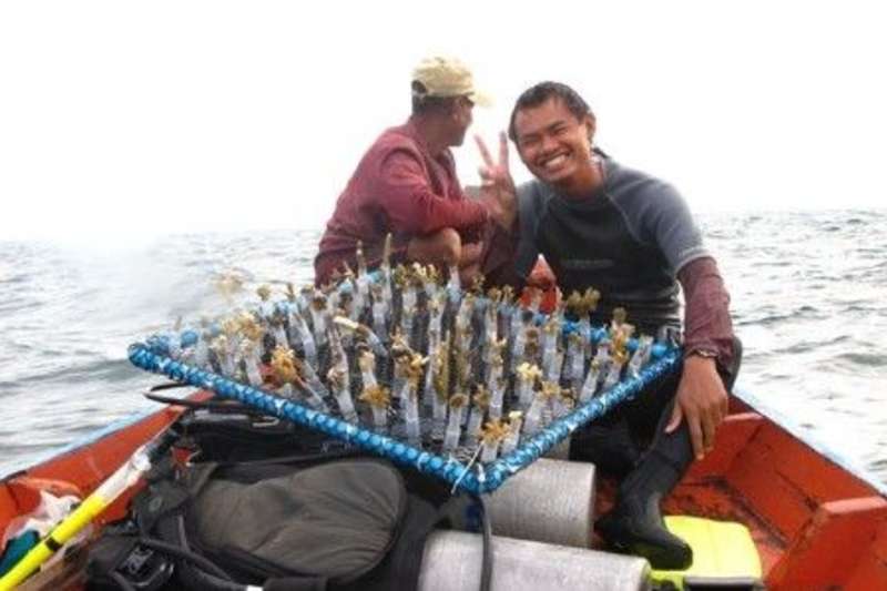 Island Marine Conservation