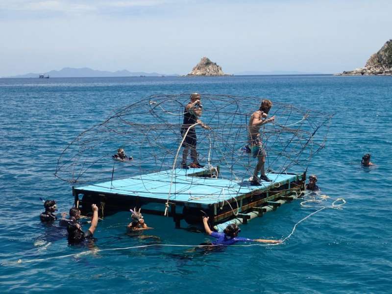 volunteer diving