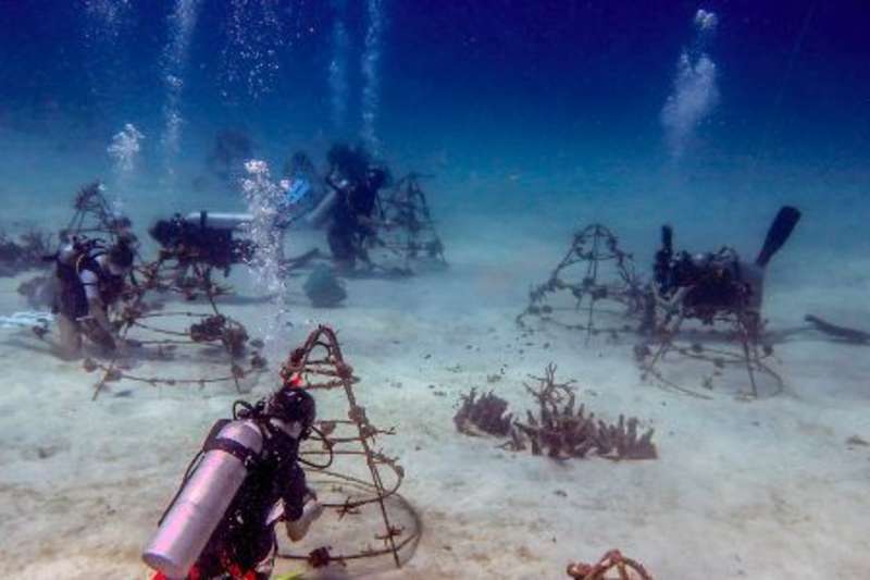 divers underwater