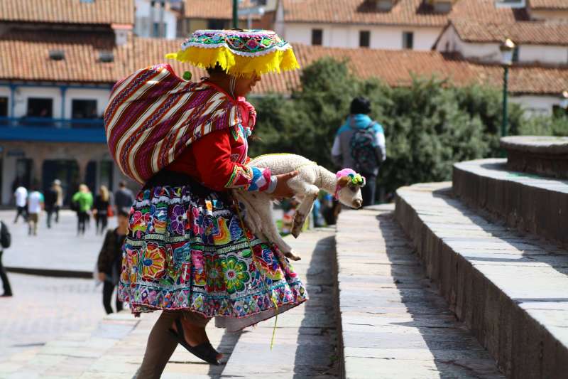 Woman with a llama
