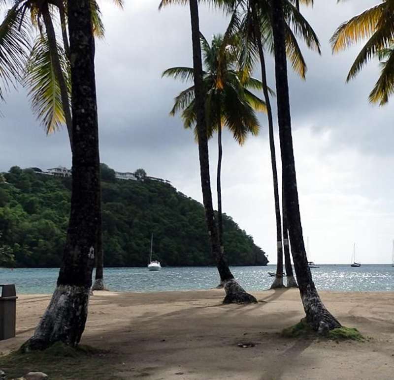 Volunteer in Saint Lucia
