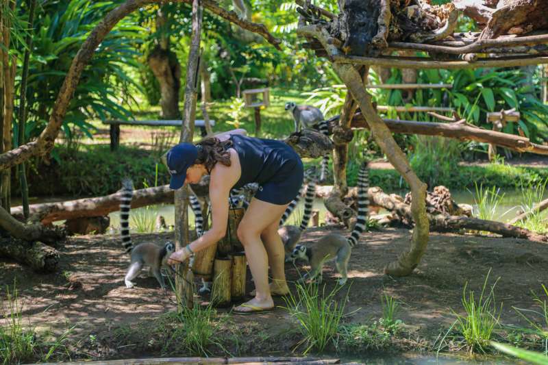Lemur Conservation