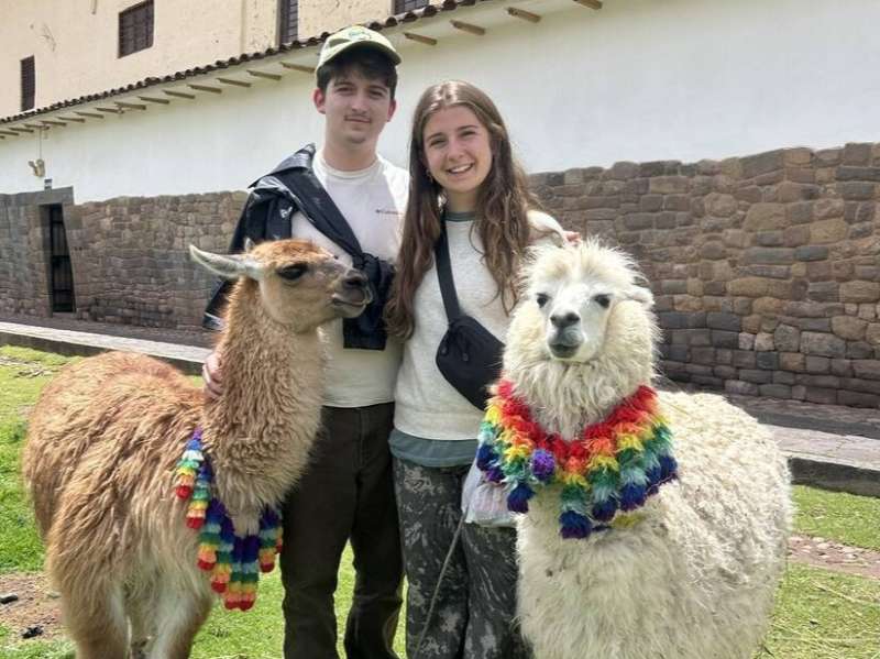 Llama Friends