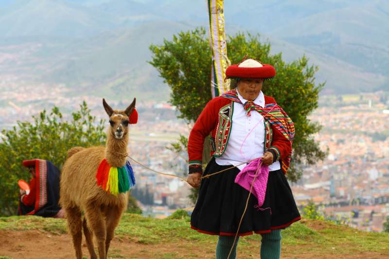 Llama and a local in Peru