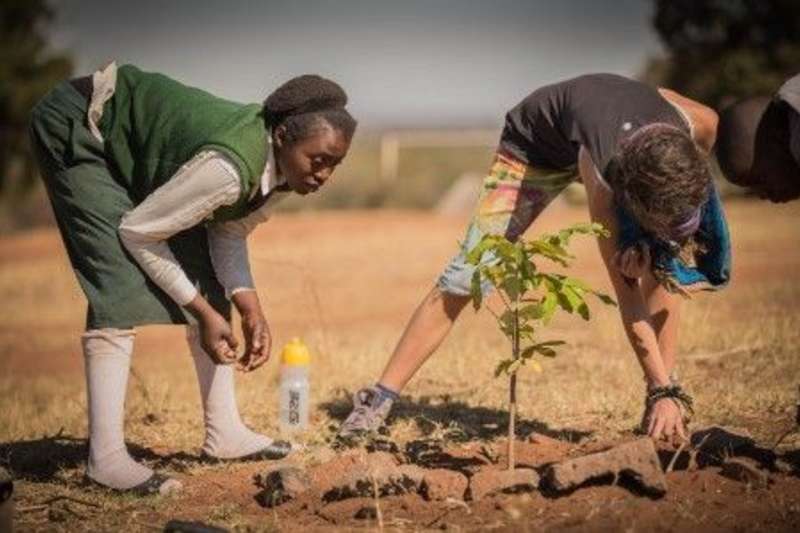 volunteers taking care of a young tree