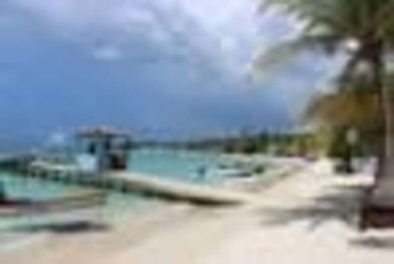 Local beach