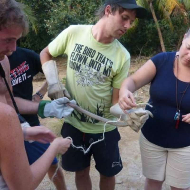 GoEco Madagascar - Wildlife Research and Conservation
