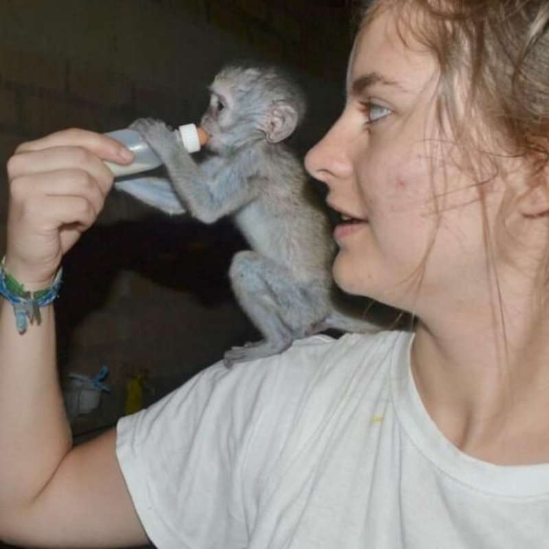 GoEco Malawi - Wildlife Rescue Center