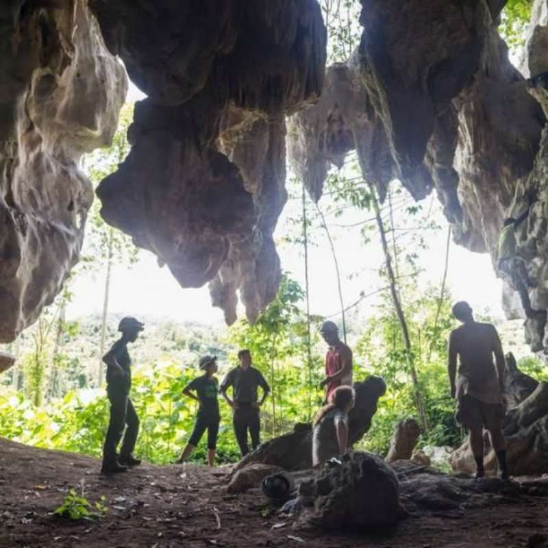 GoEco Malaysia - Jungle Trekking and Sea Turtle Conservation