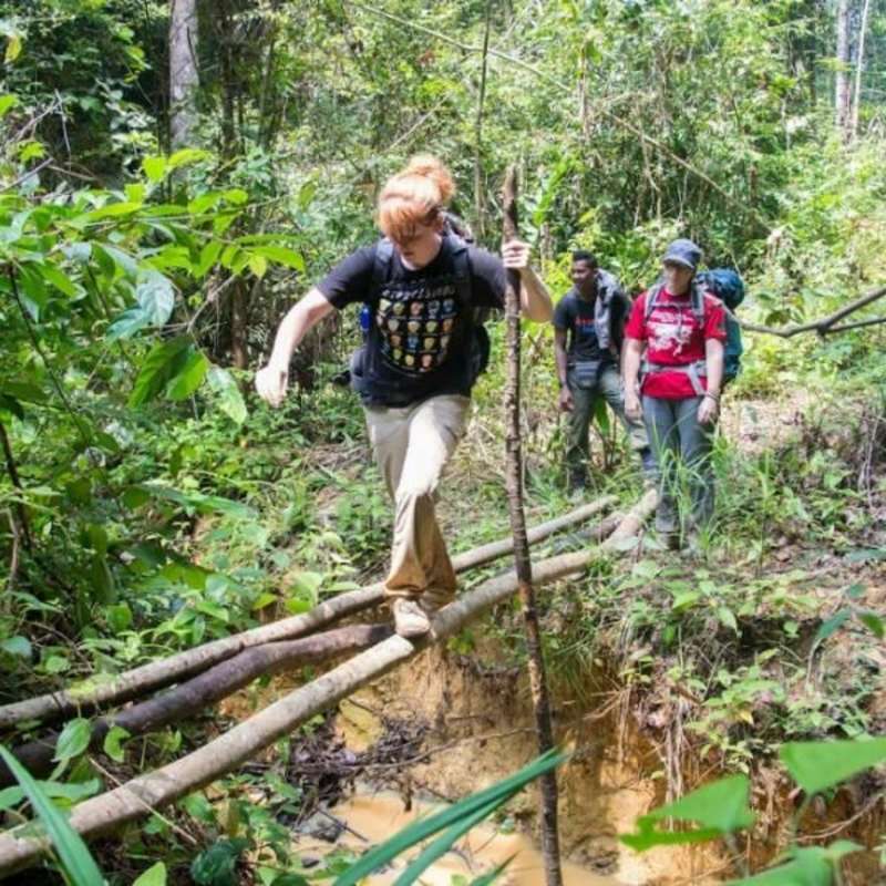GoEco Malaysia - Jungle Trekking and Sea Turtle Conservation