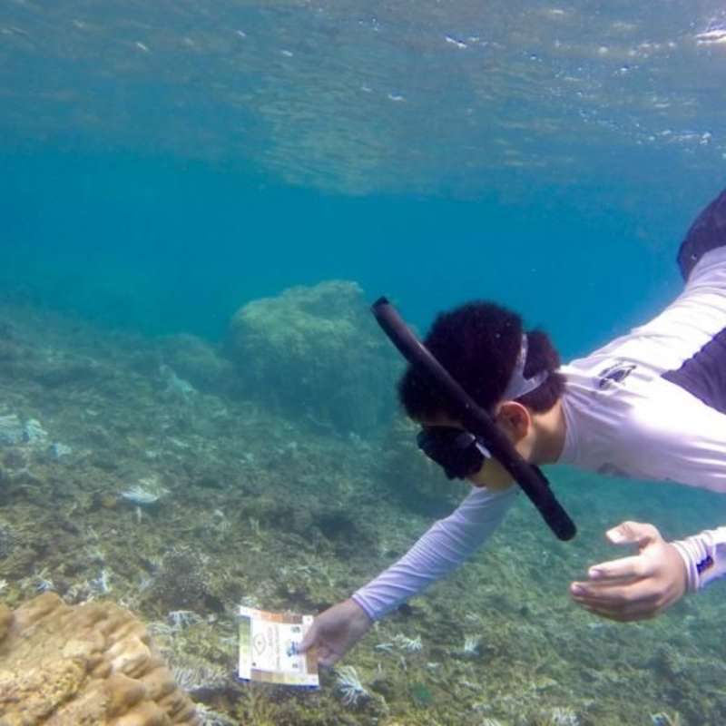 GoEco Malaysia - Jungle Trekking and Sea Turtle Conservation