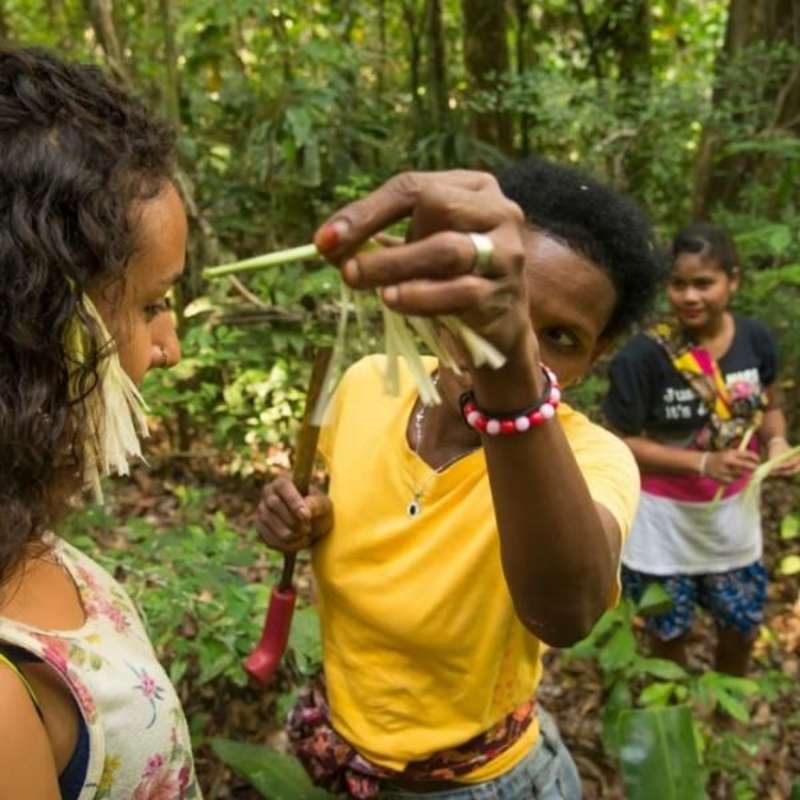 GoEco Malaysia - Jungle Trekking and Sea Turtle Conservation