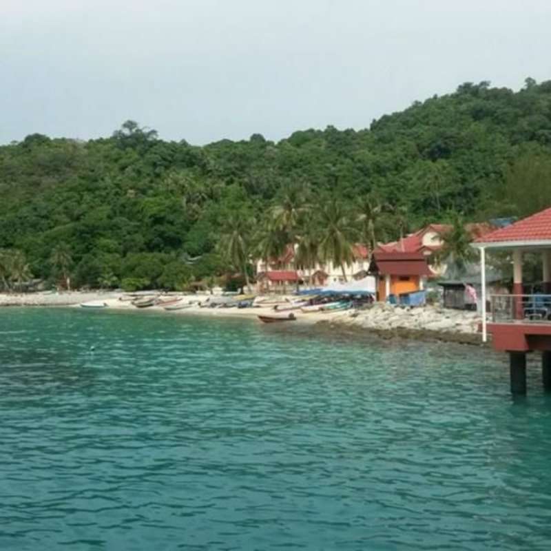 Perhentian Islands Coral Reef and Seagrass Conservation