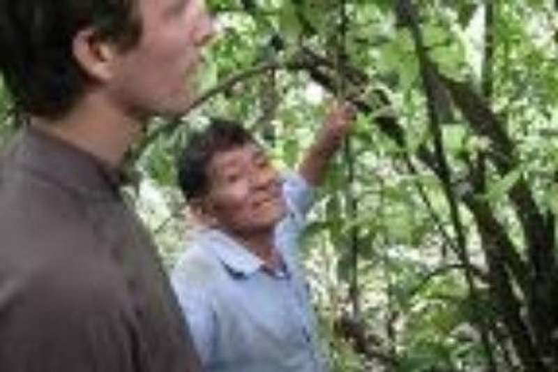 local teaching a volunteer on tree growing