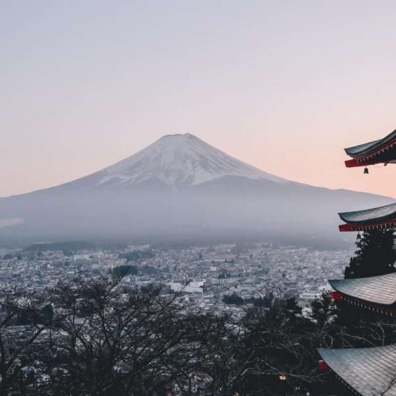 Japan Interns