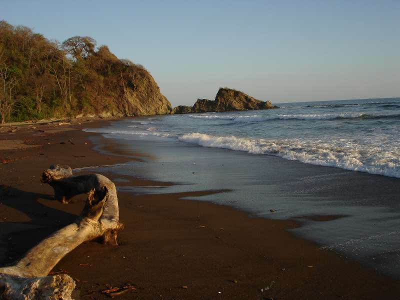 Marine and Environmental Conservation Internship in Costa Rica
