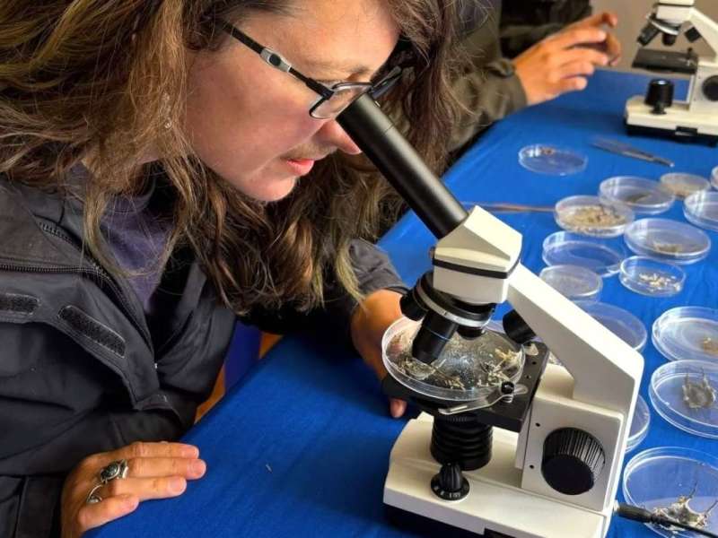 Marine Biology Field Research Training Course in Mossel Bay, South Africa