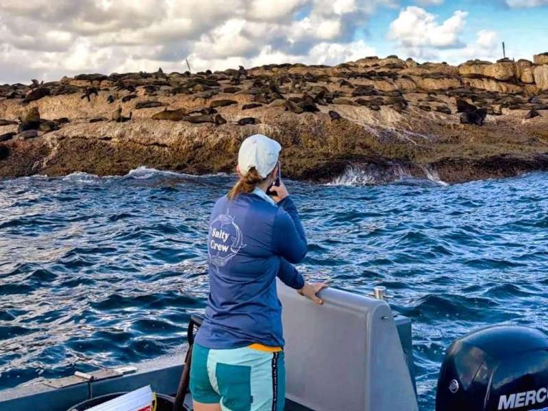 Marine Biology Field Research Training Course in Mossel Bay, South Africa