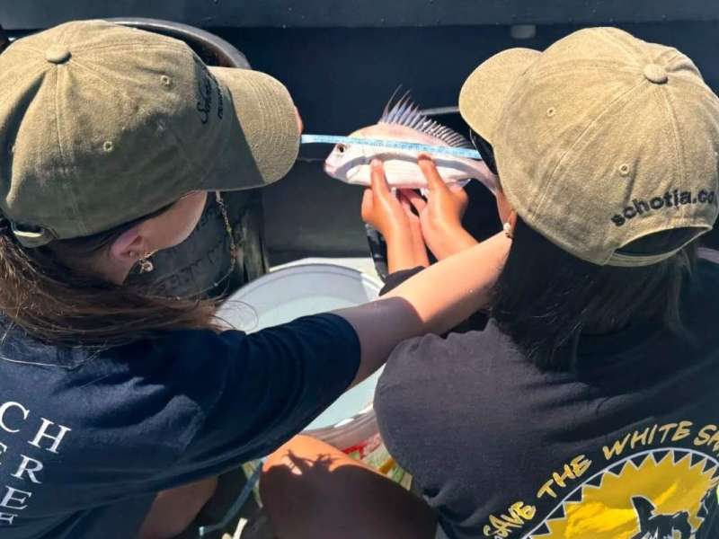 Marine Biology Field Research Training Course in Mossel Bay, South Africa