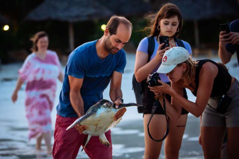 Marine Conservation Interns in Zanzibar, Tanzania