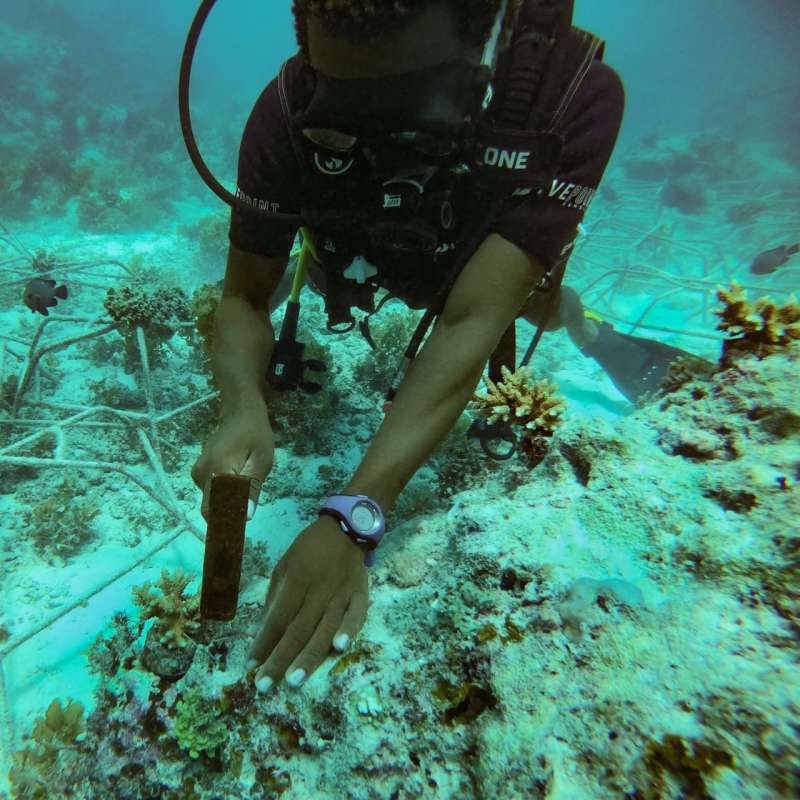 Marine Conservation Internship in Zanzibar, Tanzania