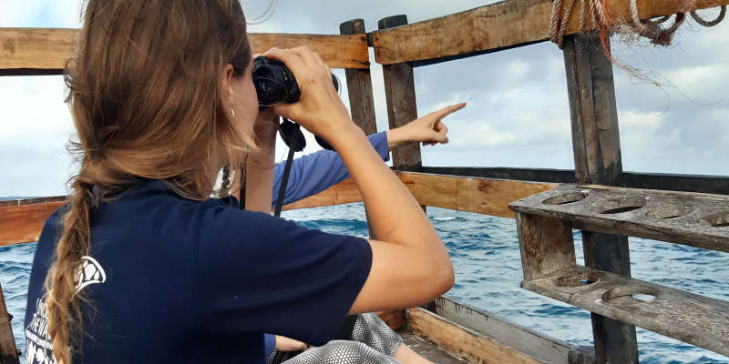 Marine Conservation Internship in Zanzibar, Tanzania