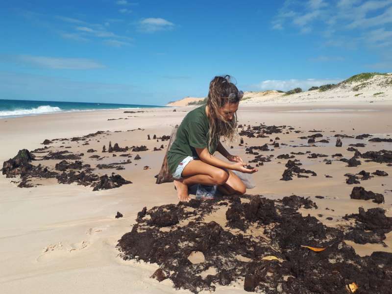 Marine Research Internship Mozambique2