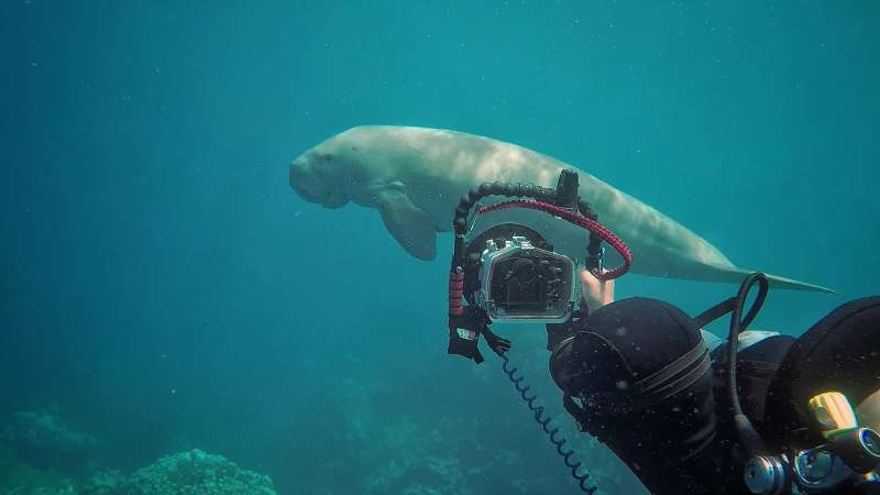Marine Research Internship Mozambique4