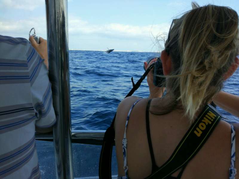 Marine Research Internship Mozambique5