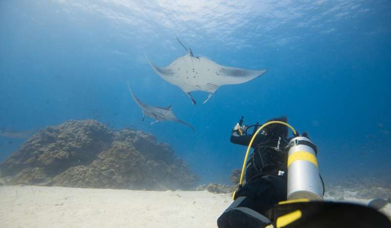 Marine Research Internship Mozambique6
