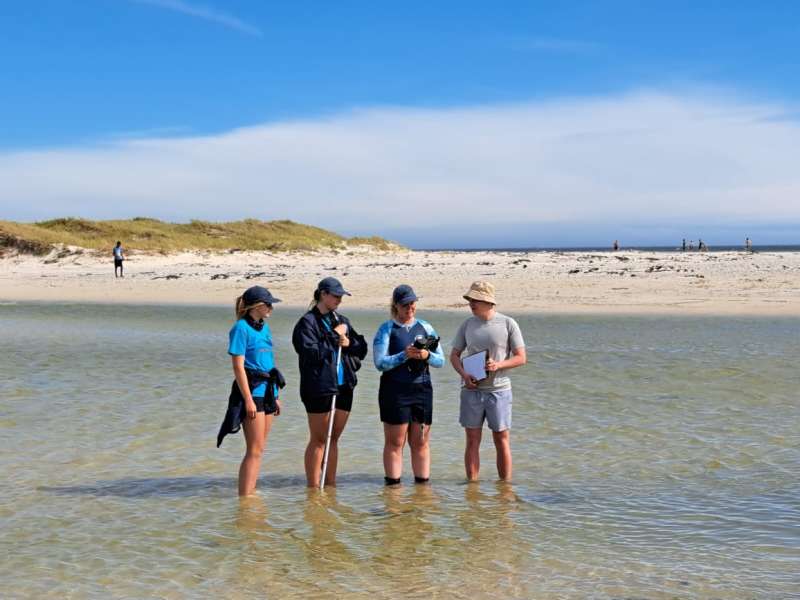 Marine Science Internship in South Africa