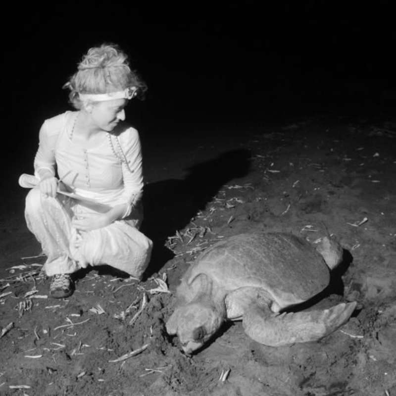 Sea turtle conservation in Nicaragua