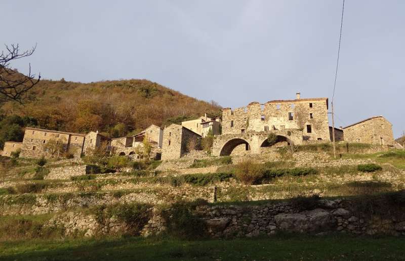 aliore