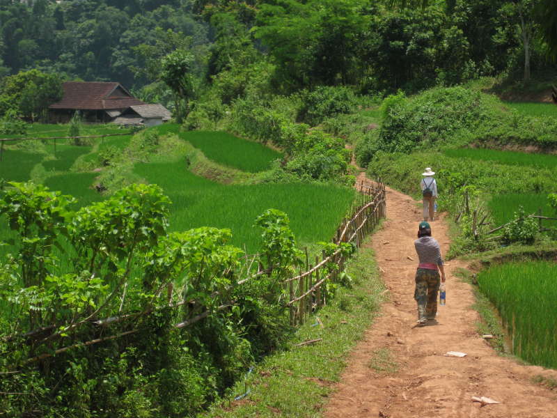 Trek trail