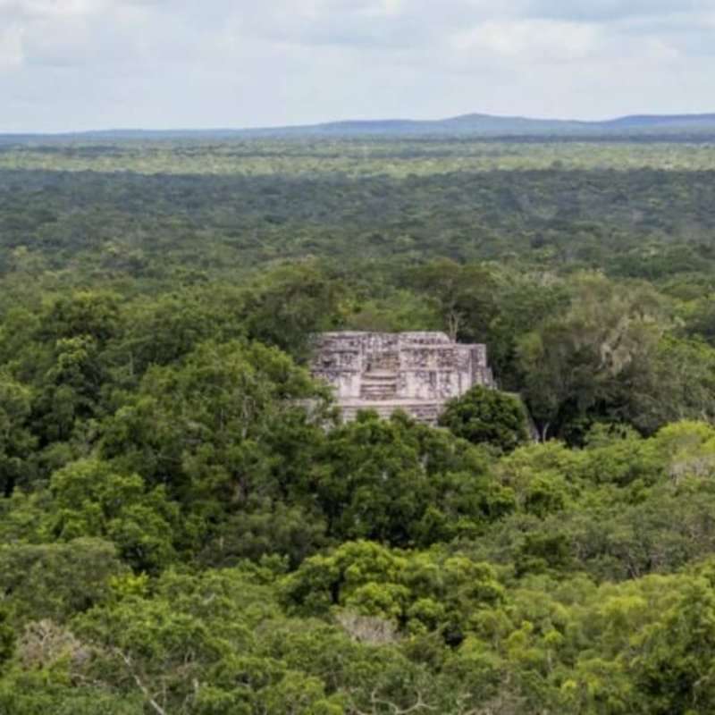 Mexico - Jaguar Jungle Conservation