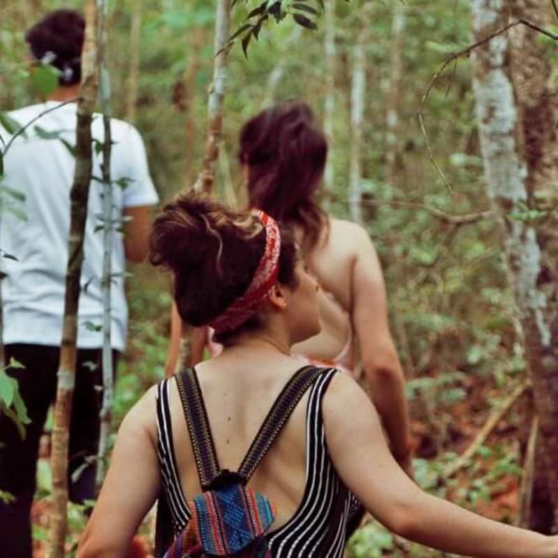 Mexico - Jaguar Jungle Conservation