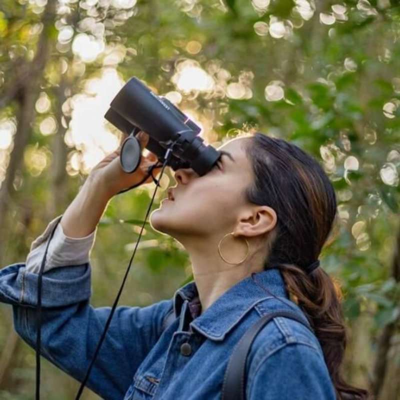 Mexico - Jaguar Jungle Conservation