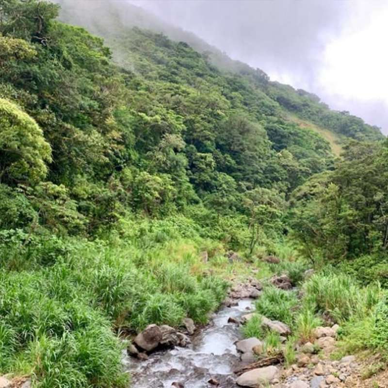 CIEE Monteverde
