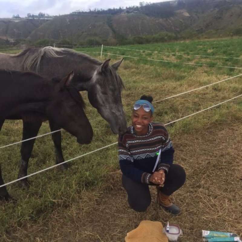 Nadja K. - Equine Veterinary Internship in Ecuador
