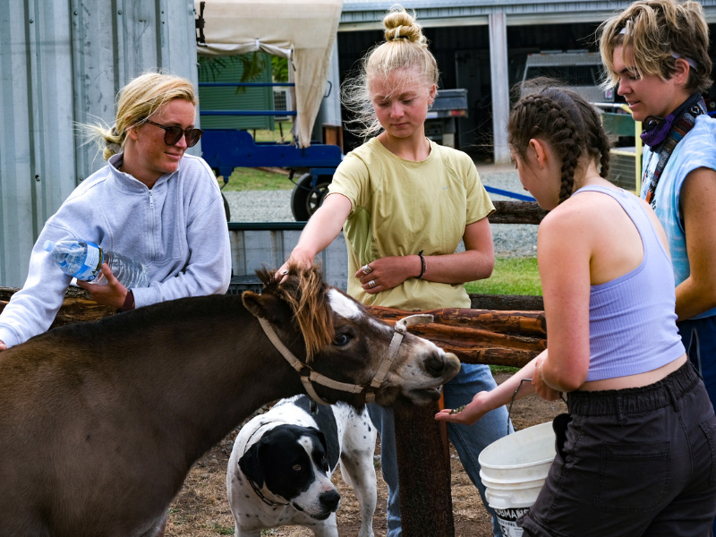 New Zealand & Australia Gap Semester | Pacific Discovery